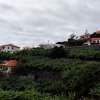 Madeira 2020